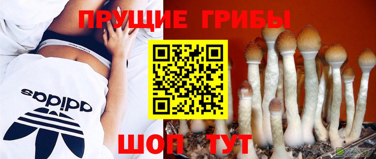 Галлюциногенные грибы мицелий  Галлюциногенные грибы MAGIC MUSHROOMS  Вход с VPN  Соликамск 
